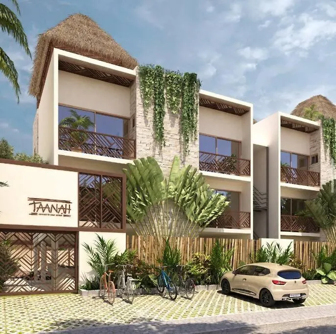 דירות טולום The Palm Penthouse מקסיקו